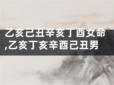 乙亥己丑辛亥丁酉女命,乙亥丁亥辛酉己丑男