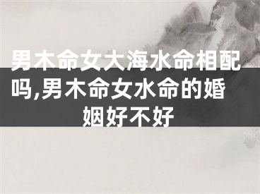 男木命女大海水命相配吗,男木命女水命的婚姻好不好