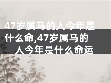 47岁属马的人今年是什么命,47岁属马的人今年是什么命运