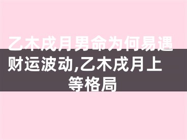 乙木戌月男命为何易遇财运波动,乙木戌月上等格局