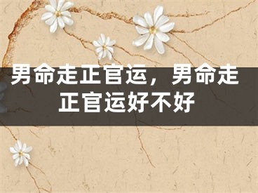 男命走正官运，男命走正官运好不好