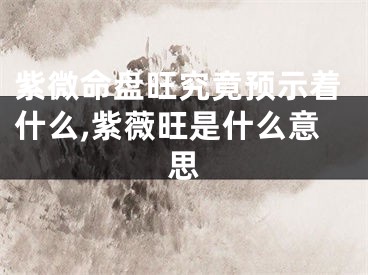 紫微命盘旺究竟预示着什么,紫薇旺是什么意思