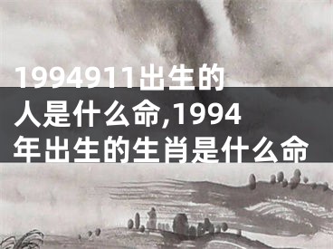 1994911出生的人是什么命,1994年出生的生肖是什么命