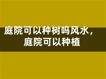 庭院可以种树吗风水，庭院可以种植