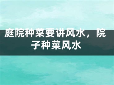 庭院种菜要讲风水,院子种菜风水