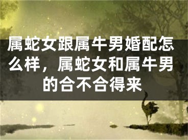 属蛇女跟属牛男婚配怎么样，属蛇女和属牛男的合不合得来