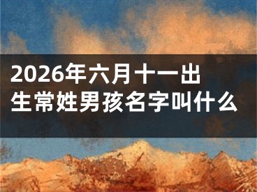 2026年六月十一出生常姓男孩名字叫什么