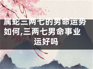 属蛇三两七的男命运势如何,三两七男命事业运好吗
