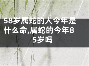 58岁属蛇的人今年是什么命,属蛇的今年85岁吗