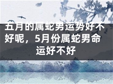 五月的属蛇男运势好不好呢，5月份属蛇男命运好不好