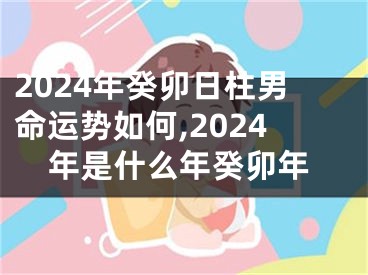 2024年癸卯日柱男命运势如何,2024年是什么年癸卯年