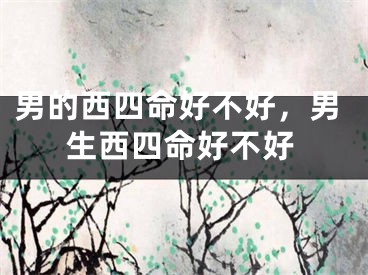 男的西四命好不好，男生西四命好不好