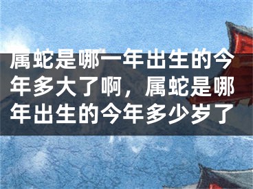 属蛇是哪一年出生的今年多大了啊，属蛇是哪年出生的今年多少岁了