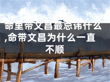 命里带文昌最忌讳什么,命带文昌为什么一直不顺