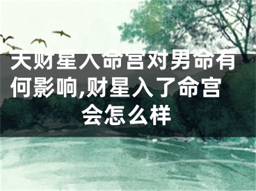 天财星入命宫对男命有何影响,财星入了命宫会怎么样