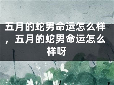 五月的蛇男命运怎么样，五月的蛇男命运怎么样呀
