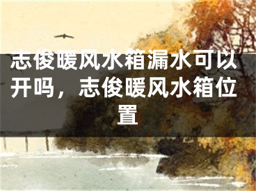 志俊暖风水箱漏水可以开吗，志俊暖风水箱位置