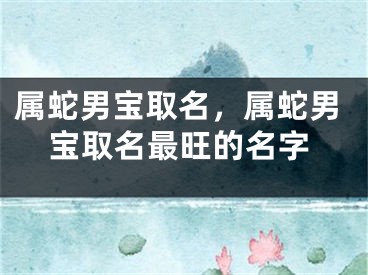 属蛇男宝取名，属蛇男宝取名最旺的名字