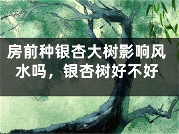 房前种银杏大树影响风水吗，银杏树好不好