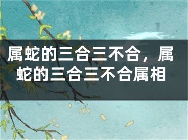 属蛇的三合三不合，属蛇的三合三不合属相