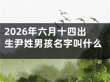 2026年六月十四出生尹姓男孩名字叫什么