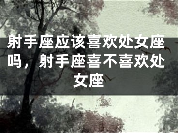 射手座应该喜欢处女座吗，射手座喜不喜欢处女座