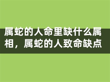 属蛇的人命里缺什么属相，属蛇的人致命缺点