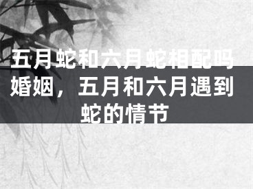 五月蛇和六月蛇相配吗婚姻，五月和六月遇到蛇的情节