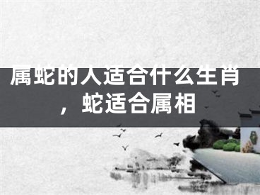 属蛇的人适合什么生肖，蛇适合属相