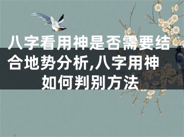 八字看用神是否需要结合地势分析,八字用神如何判别方法