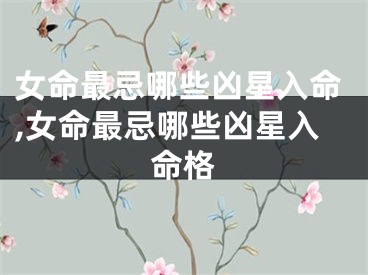 女命最忌哪些凶星入命,女命最忌哪些凶星入命格