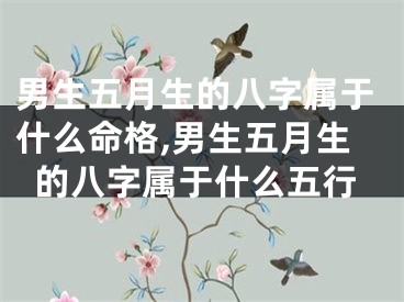 男生五月生的八字属于什么命格,男生五月生的八字属于什么五行