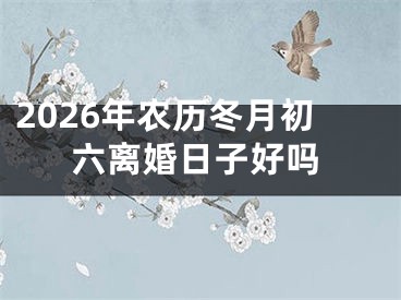 2026年农历冬月初六离婚日子好吗