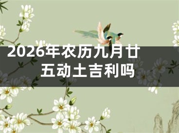 2026年农历九月廿五动土吉利吗
