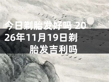 今日剃胎发好吗 2026年11月19日剃胎发吉利吗