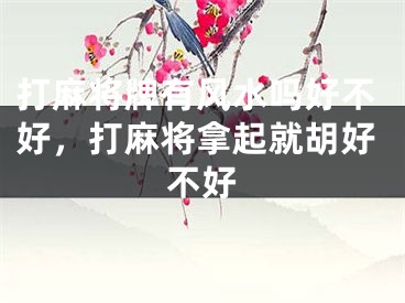 打麻将牌有风水吗好不好，打麻将拿起就胡好不好