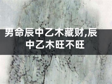 男命辰中乙木藏财,辰中乙木旺不旺