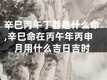 辛巳丙午丁酉是什么命,辛巳命在丙午年丙申月用什么吉日吉时