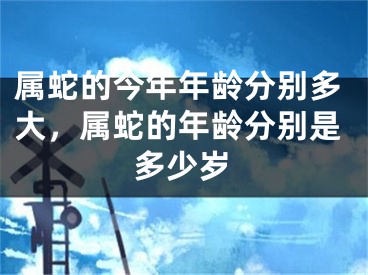 属蛇的今年年龄分别多大，属蛇的年龄分别是多少岁