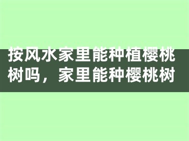 按风水家里能种植樱桃树吗，家里能种樱桃树