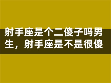 射手座是个二傻子吗男生，射手座是不是很傻