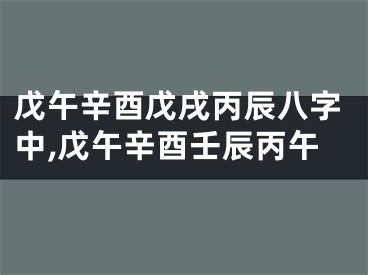 戊午辛酉戊戌丙辰八字中,戊午辛酉壬辰丙午