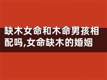缺木女命和木命男孩相配吗,女命缺木的婚姻