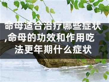 命母适合治疗哪些症状,命母的功效和作用吃法更年期什么症状