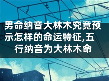 男命纳音大林木究竟预示怎样的命运特征,五行纳音为大林木命