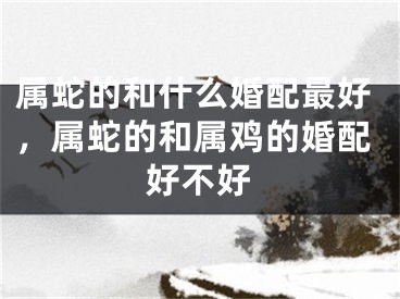 属蛇的和什么婚配最好，属蛇的和属鸡的婚配好不好