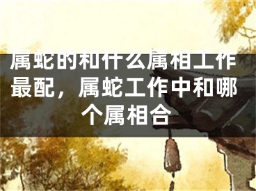 属蛇的和什么属相工作最配，属蛇工作中和哪个属相合