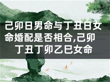 己卯日男命与丁丑日女命婚配是否相合,己卯丁丑丁卯乙巳女命