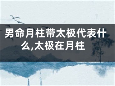 男命月柱带太极代表什么,太极在月柱