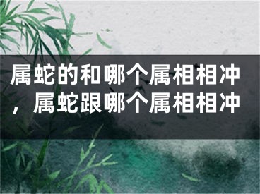 属蛇的和哪个属相相冲，属蛇跟哪个属相相冲